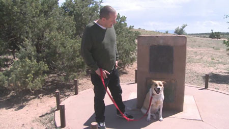 New Mexico dog owner pairs with non-profit for canine chemotherapy treatment