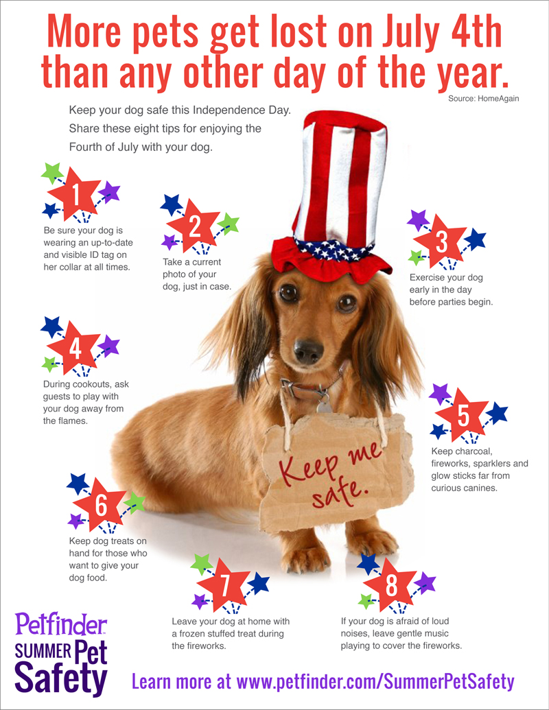 Tips to keep dogs safe during noise of Independence Day