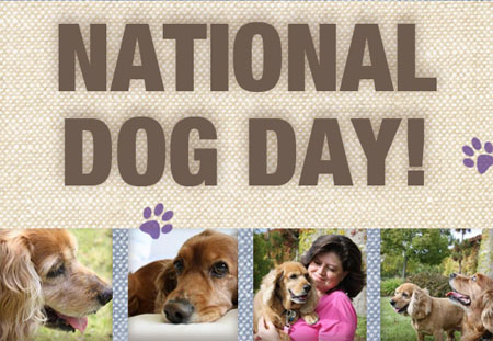 Happy National Dog Day! 20 Ways to Celebrate National Dog Day