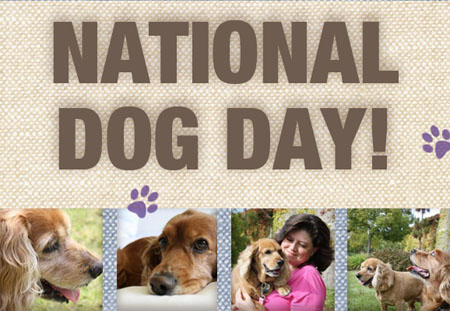 Happy National Dog Day! 20 Ways to Celebrate National Dog Day - The ...