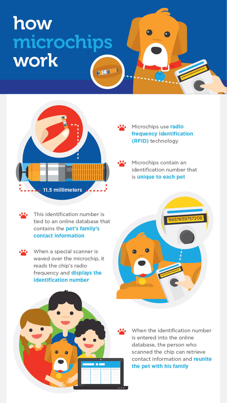 what info is on a dogs microchip