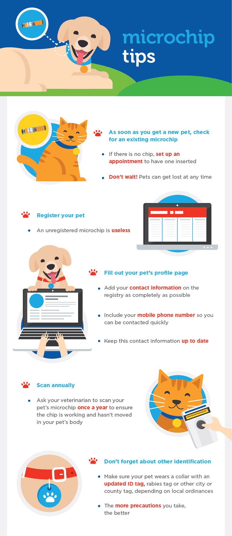 microchip-faq-chipping-to-help-reunite-lost-pets-the-national-canine