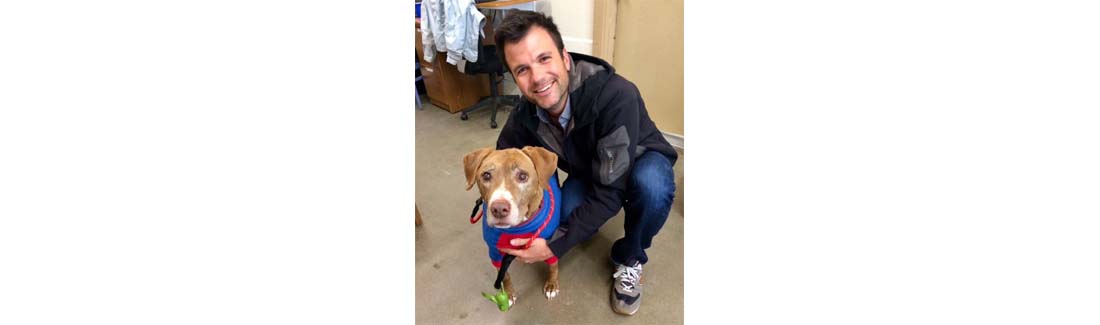 Deaf Senior Dog With Cancer Gets Adopted By Handsome Man & Their Story Goes Viral
