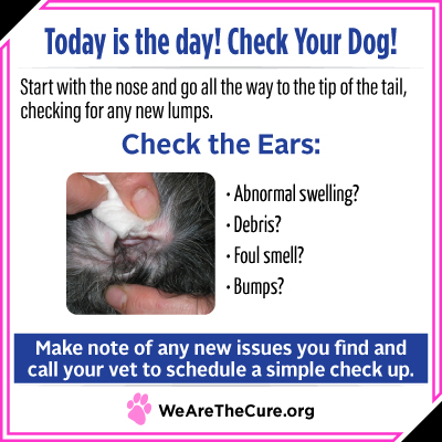 Check Your Dog day is key to dog cancer prevention. This shows you have to check your dogs ears