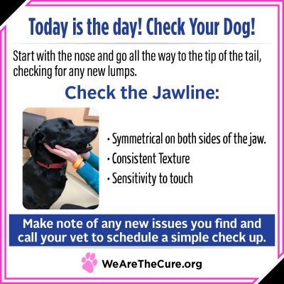 Check Your Dog day is key to dog cancer prevention. This shows you how to check your dogs jawline