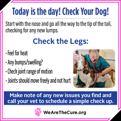 Check Your Dog day is key to dog cancer prevention. This graphic shows you how to check your dogs legs