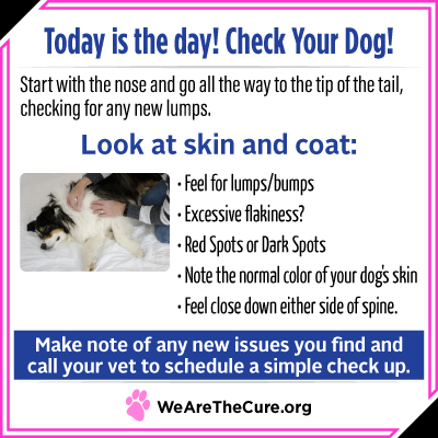 Check Your Dog day is key to dog cancer prevention. This graphic shows you how to check your dogs skin and coat