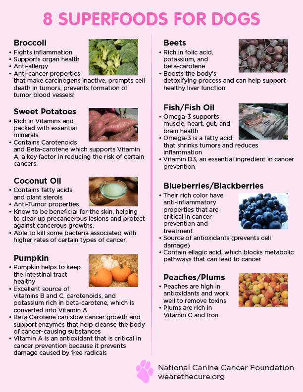 8 Superfoods for Dogs infographic