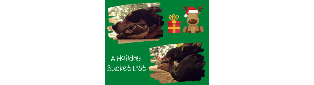 A Holiday Bucket List for dogs