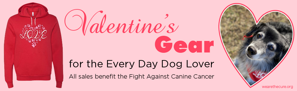 Valentine's t-shirt with dog nose print and cute border collie