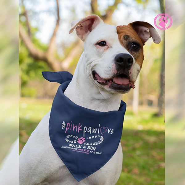 Dog on sale bandanas pink