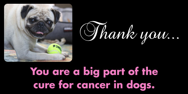Donation-Fun-Raise-Finnigan-Receipt-600x300-01 Core Members are important to the fight against dog cancer