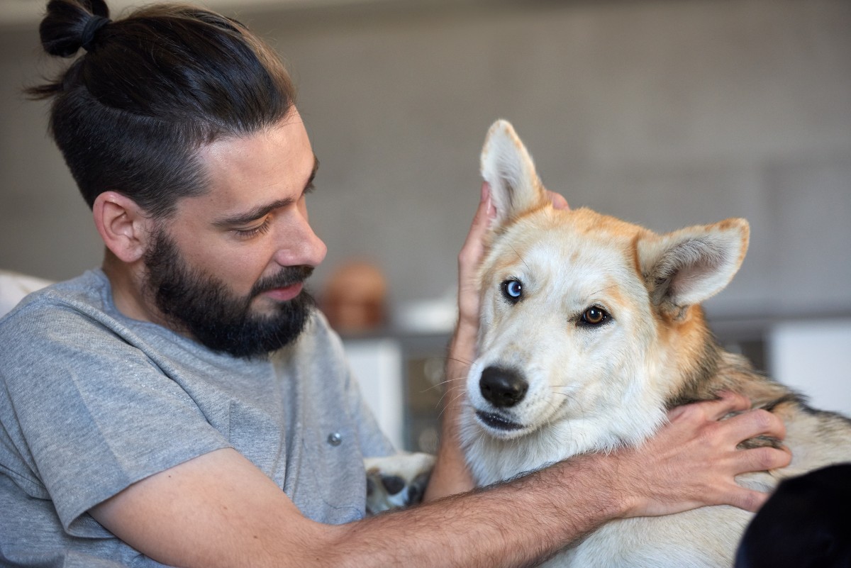 His pets dogs. Mans Pets from back.