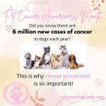 Did you know there are 6 million new cases of cancer in dogs eac