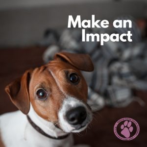Make an Impact Ad