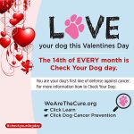Check Your Dog on the 14th of Every Month