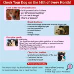 Check Your Dog on the 14th of Every Month!