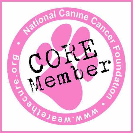 CORE Member Logo Icon