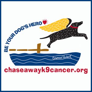 Chase Away Logo Icon