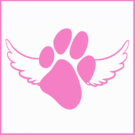 Pink Paw Winged Icon