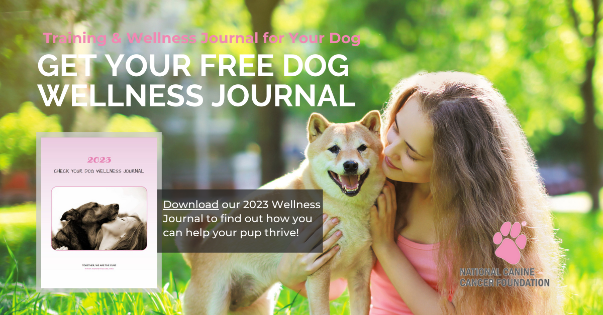 National Canine Cancer Foundation We are the cure 2023 Free dog wellness journal