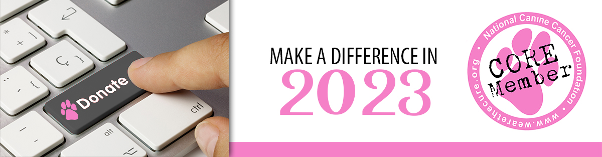 Donate to the National Canine Cancer Foundation