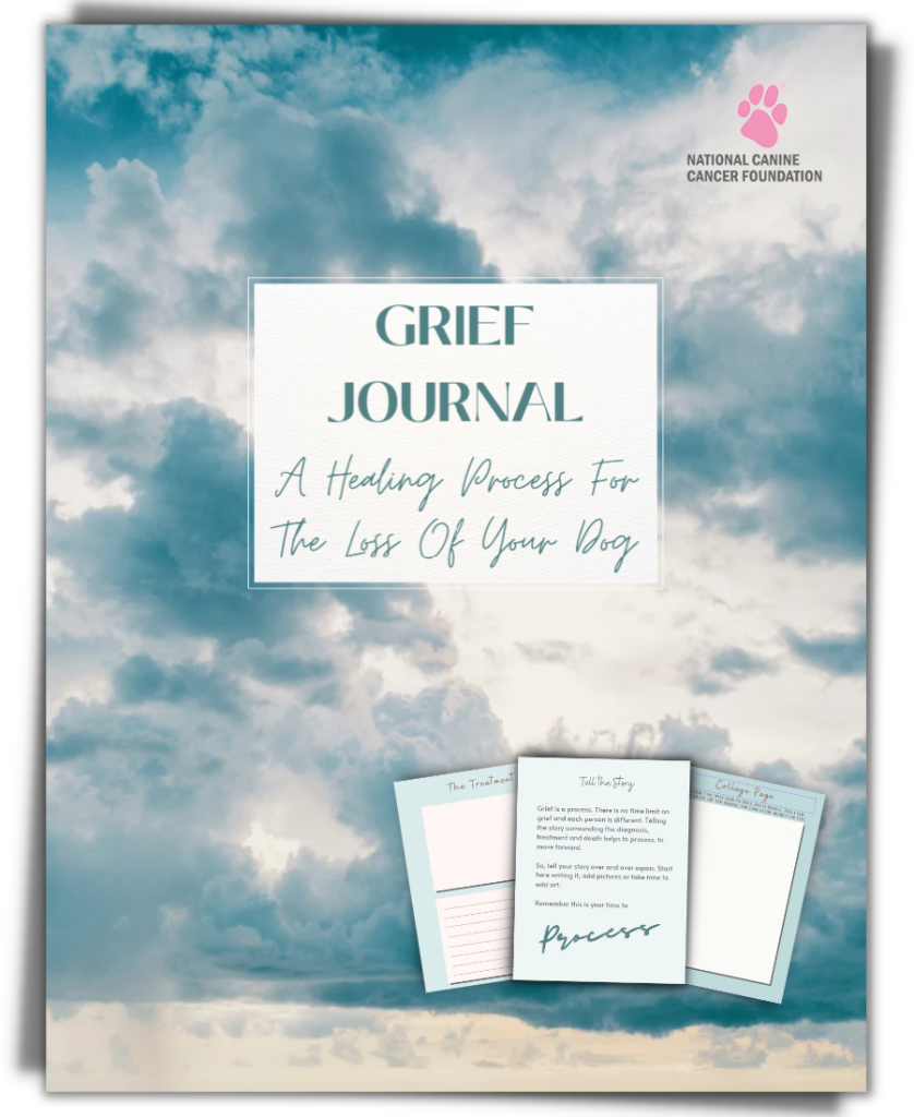 bg-journal-grief-pencil - Refuge In Grief