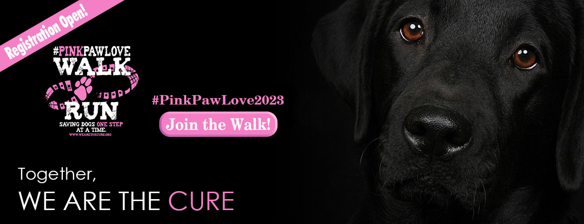 The National Canine Cancer Foundation | Together We Are The Cure
