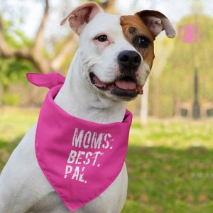 Cute dog with bandana that says "Mom's best pal"