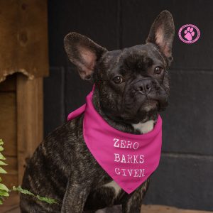 Cute dog with bandana that says "Zero barks given"