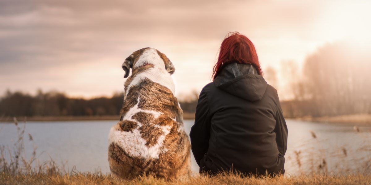 Woman and dog sitting with their backs to the camera in front of lake