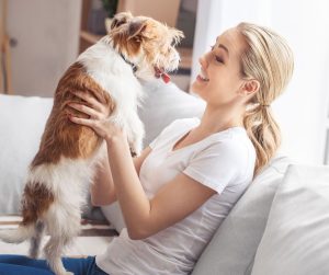 Dog playing with owner