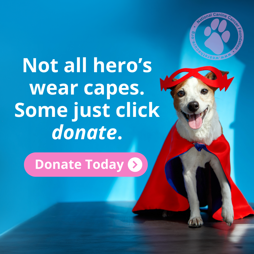 Not all héros wear capes donate today